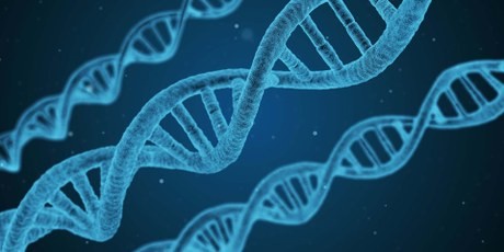 Afbeelding bij evenement KNAW Webinar Gentherapie